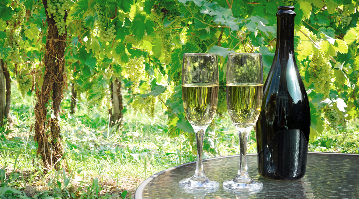 two glasses of champagne on a table with a large dark glass bottle surrounded by greenery